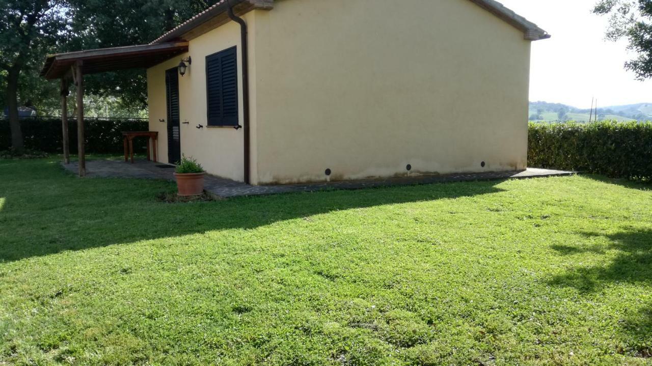 Agriturismo cavallin del papa Capalbio Exterior foto
