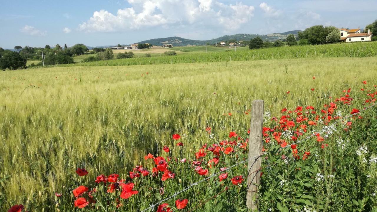 Agriturismo cavallin del papa Capalbio Exterior foto